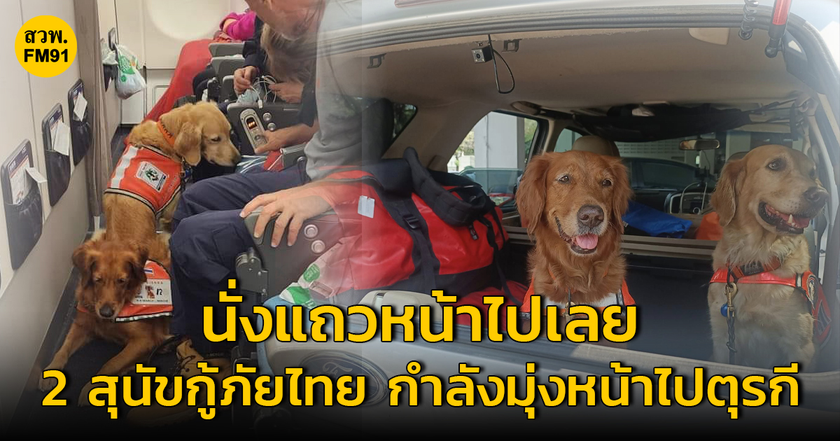 นั่งแถวหน้าไปเลย! 2 สุนัขกู้ภัยไทย กับภารกิจช่วยค้นหาผู้ประสบภัยเหตุแผ่นดินไหวที่ตุรกี