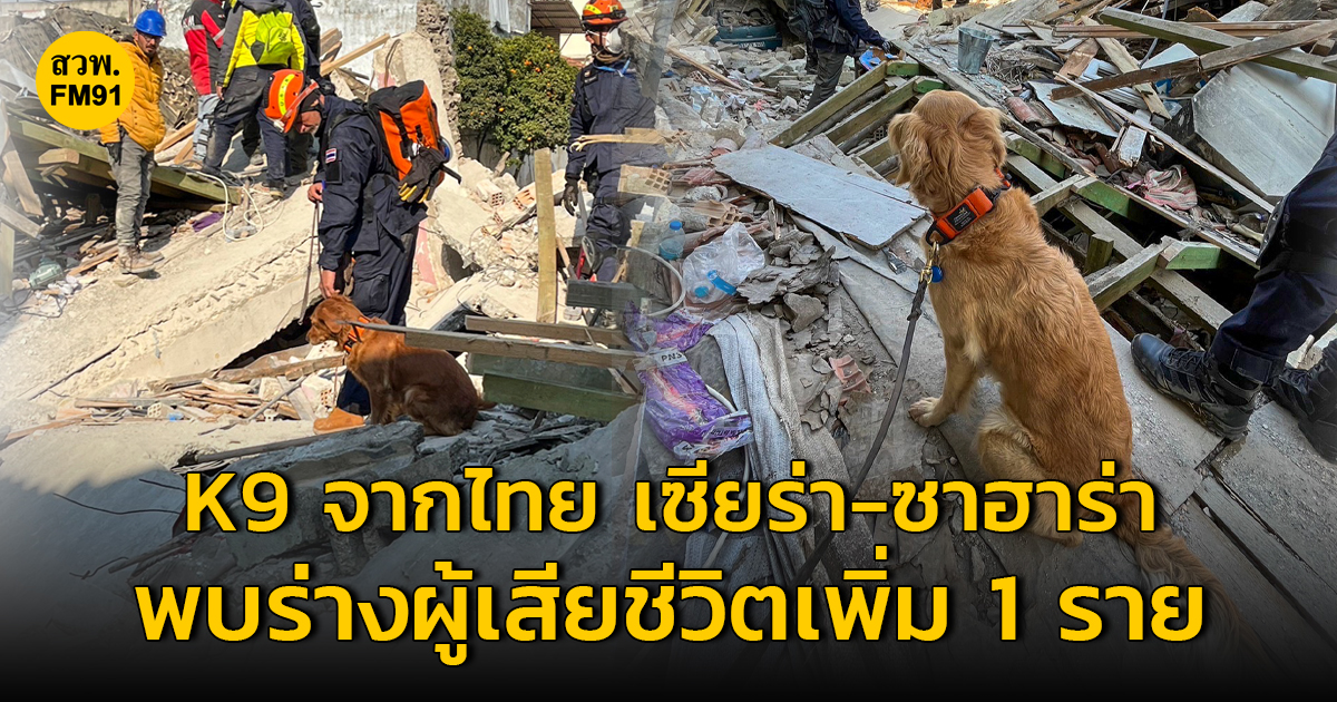 K9 จากประเทศไทย “เซียร่า-ซาฮาร่า” พบร่างผู้เสียชีวิตเพิ่ม 1 ราย