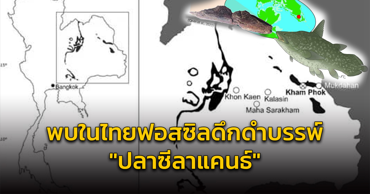 ครั้งแรกในไทย พบ "ซากดึกดำบรรพ์" ปลาซีลาแคนธ์