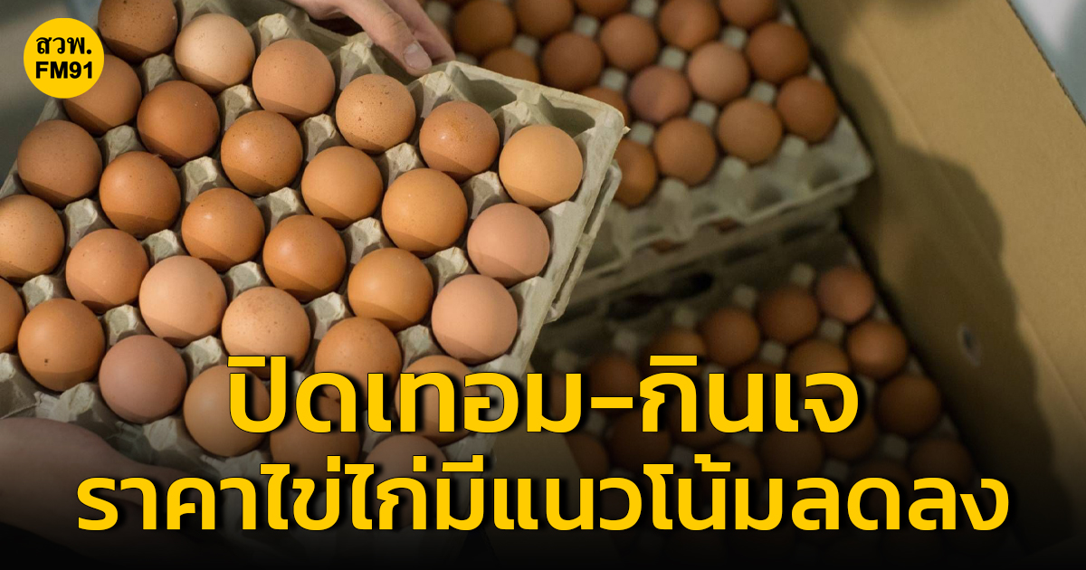 ราคาไข่ไก่มีแนวโน้มลดลง เหตุปิดเทอม-กินเจ แนะผู้เลี้ยงไก่ไข่ เน้นผลิตไข่ในปริมาณพอดี