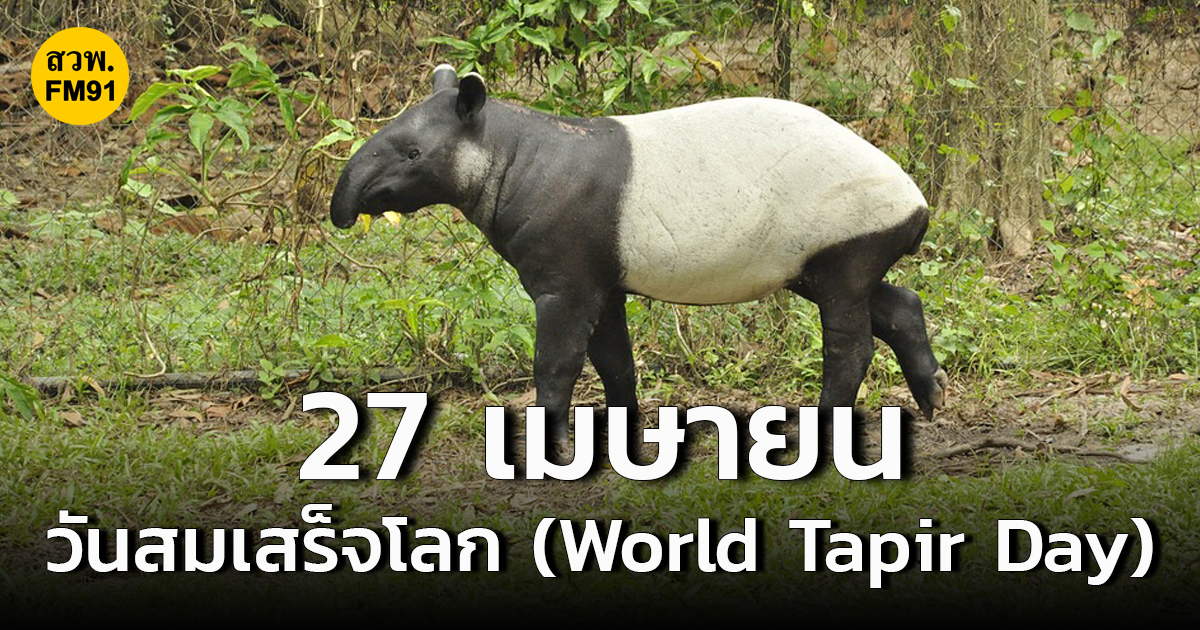 27 เมษายน วันสมเสร็จโลก (World Tapir Day)