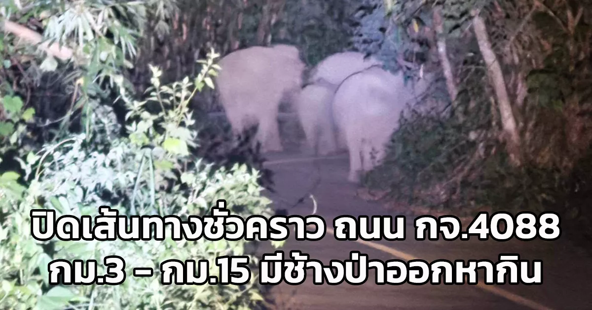อุทยานแห่งชาติทองผาภูมิ ประชาสัมพันธ์แจ้งปิดเส้นทางชั่วคราว เส้นทางบ้านไร่ – บ้านอีต่อง ถนน กจ.4088 กม.3 ถึง กม.15 งดใช้เส้นทางในช่วงเวลา 18.00 – 06.00 น. เนื่องจากพบช้างป่าออกหากิน