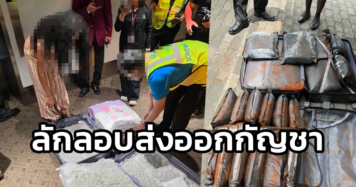 กรมศุลกากร ท่าอากาศยานสุวรรณภูมิ สกัดลักลอบส่งออกกัญชา รวบ 40 รายใน 24 วัน ยึดกว่า 577 กิโลกรัม มูลค่า 5.8 ล้านบาท