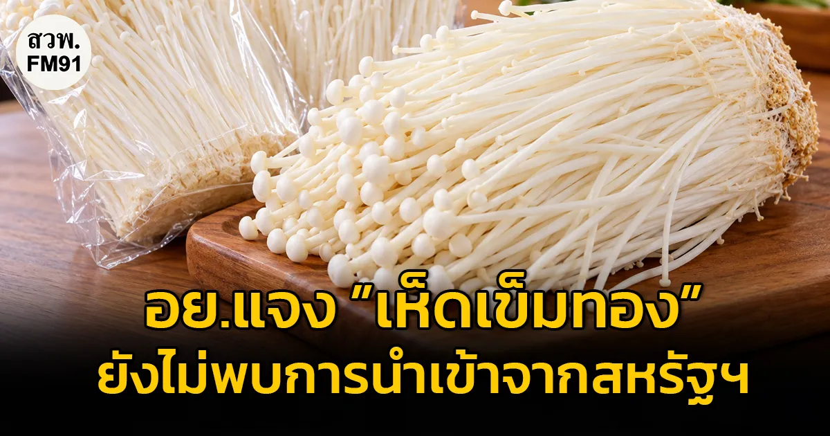 อย. ยืนยันยังไม่พบการนำเข้าเห็ดเข็มทองจากผู้ผลิตที่สหรัฐฯ แจ้งเตือน ย้ำปรุงสุกทั่วถึง บริโภคได้อย่างปลอดภัย