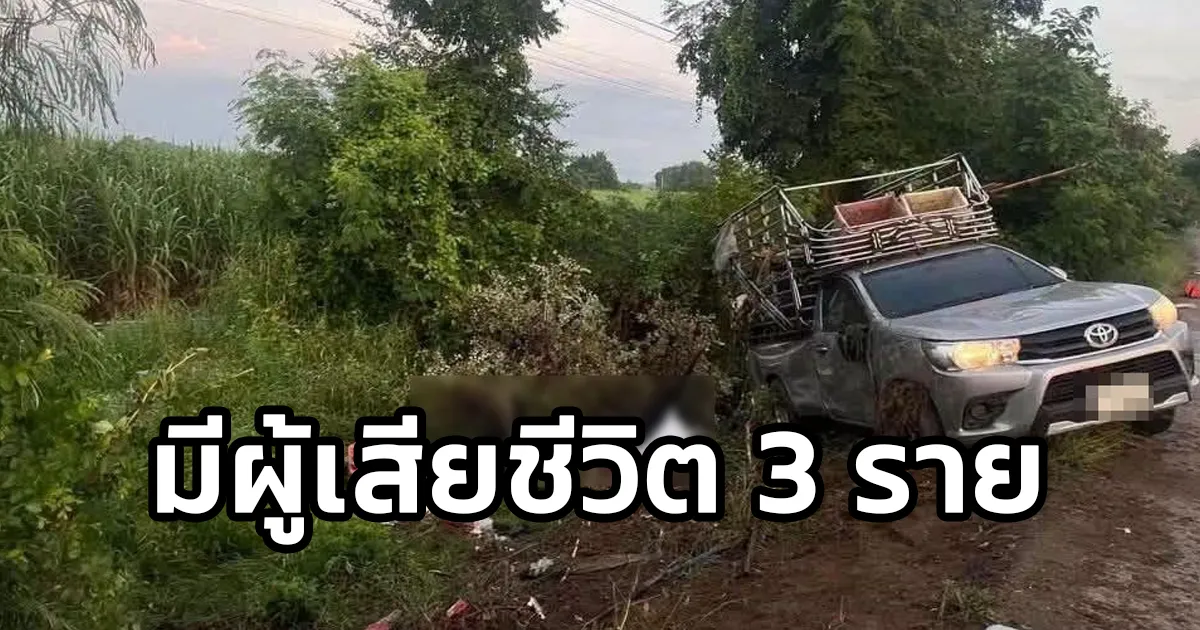อุบัติเหตุ รถกระบะคนงานเก็บเผือก เสียหลักพลิกคว่ำลงข้างทาง มีผู้เสียชีวิต 3 และบาดเจ็บหลายราย จ.กาญจนบุรี